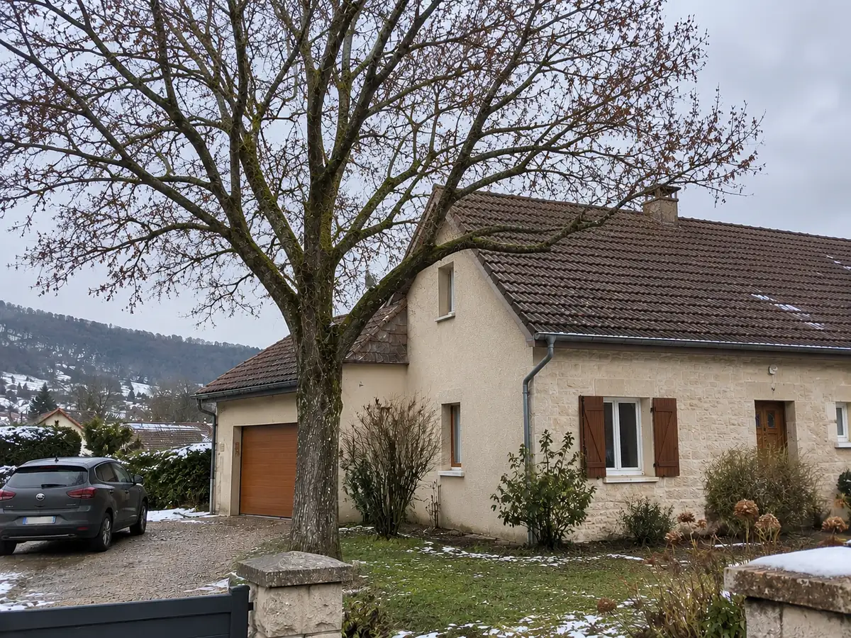 Après : tilleul élagué, couronne éclaircie et dégagée du toit