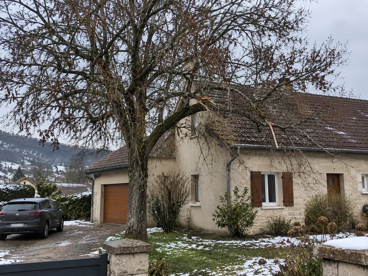 Avant : tilleul touffu, branches cassées par la neige au-dessus du toit d'une maison